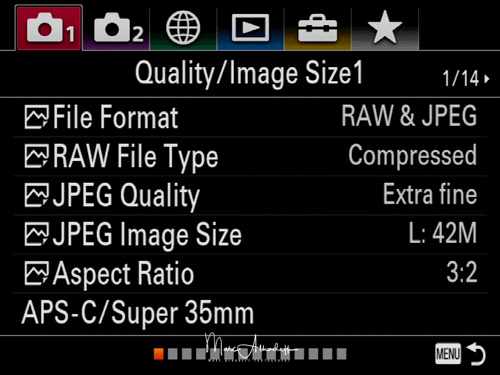 Sony A7RIII menu english-1