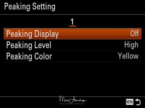 Sony A7RIII menu english-28