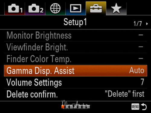 Sony A7RIII menu english-64